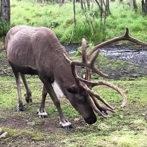 Meet your Posher, Jean